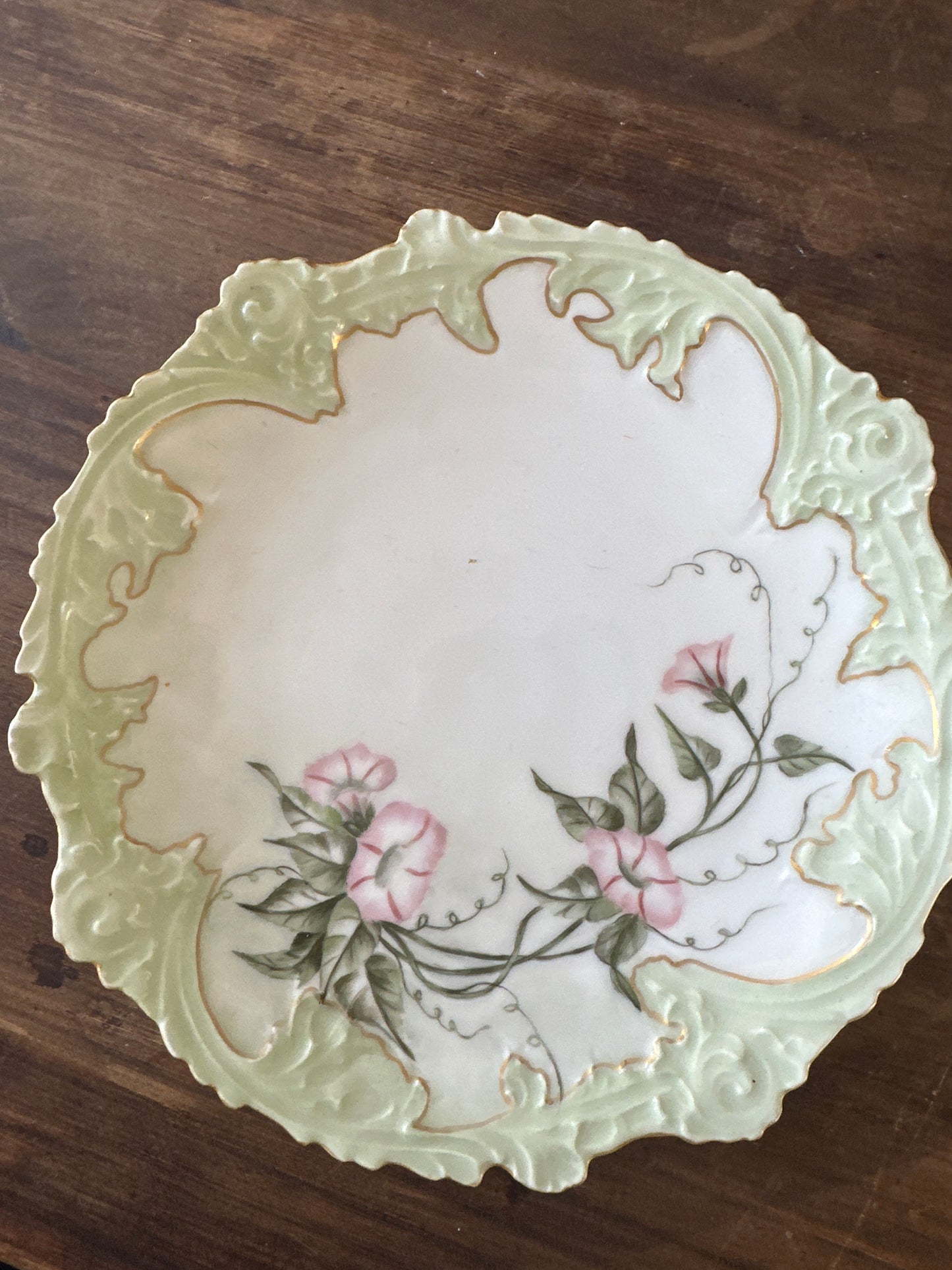 Limoges France Cabinet Plate — Morning Glory