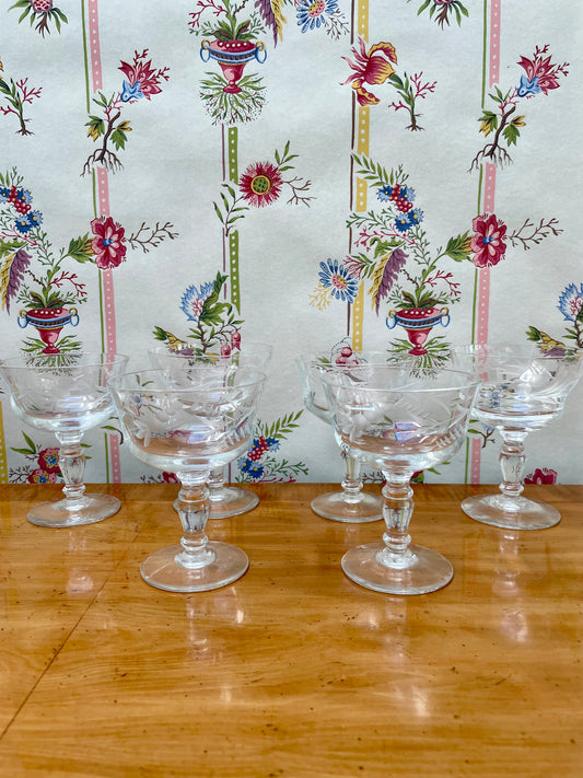Set of 6 Glass Champagne or Cocktail Coupes, Engraved with a repeating leaf & fruit pattern